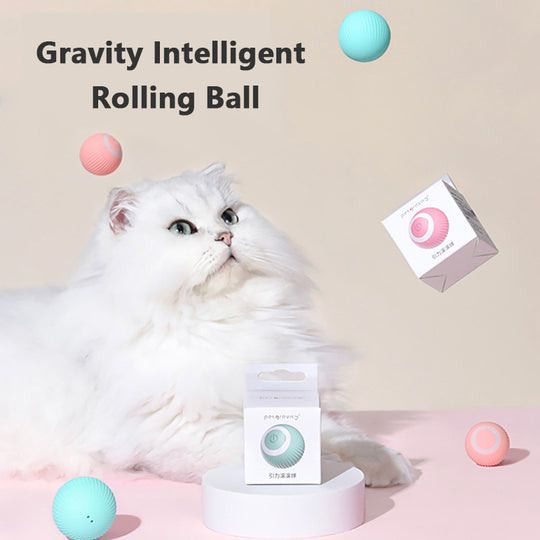 Genova's Bionic Motion Cat Ball