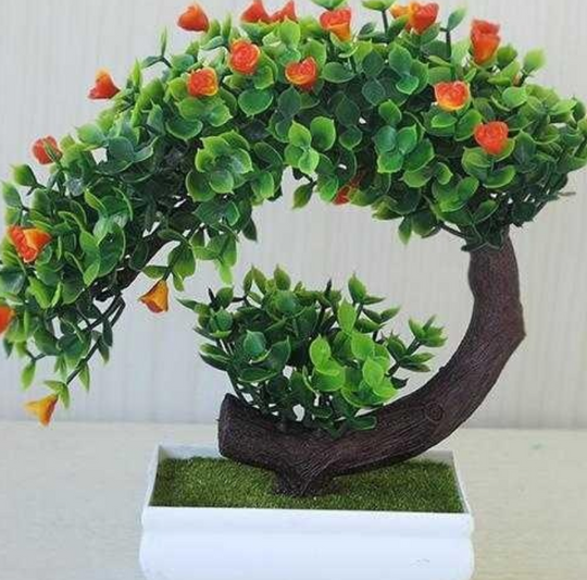 Plastic Bonsai Tree