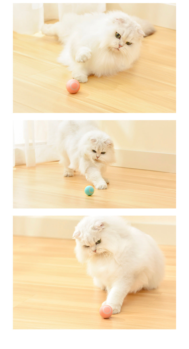 Genova's Bionic Motion Cat Ball