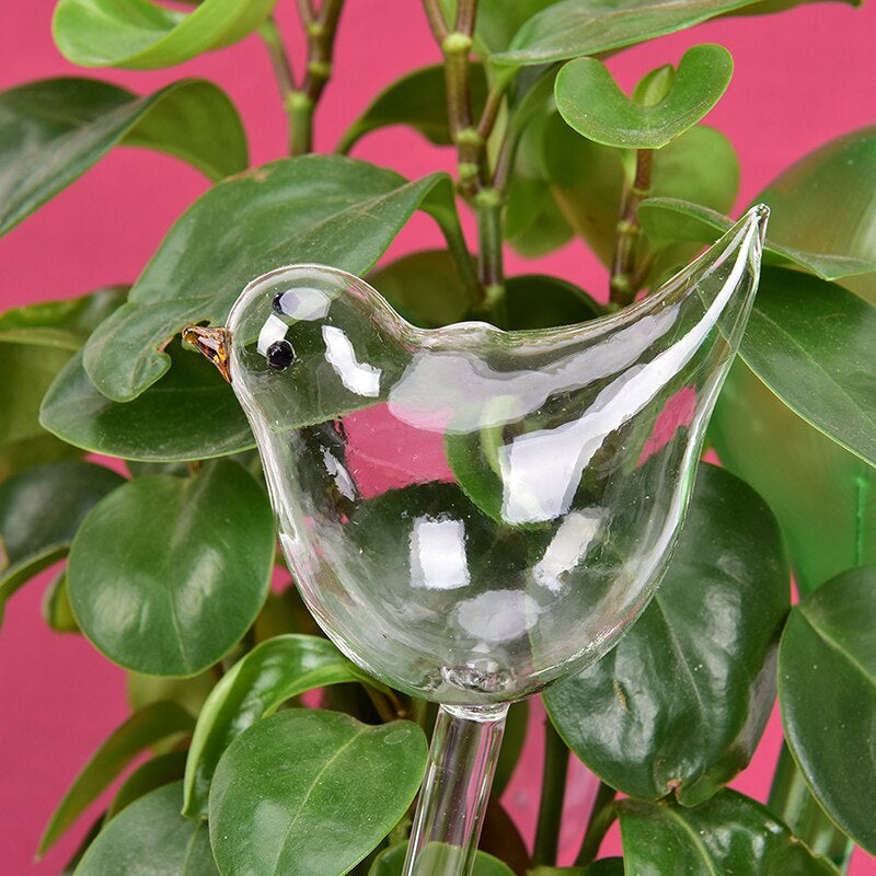 Plant Self Watering Globe Plants Water Bulbs Bird Shape Clear Glass/Plastic Watering Device