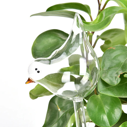 Plant Self Watering Globe Plants Water Bulbs Bird Shape Clear Glass/Plastic Watering Device